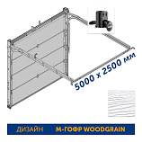 5000x2500 Гаражные секционные ворота Hormann RenoMatic, с торсионным механизмом, с гарнитурой ручек, дизайн M-гофр