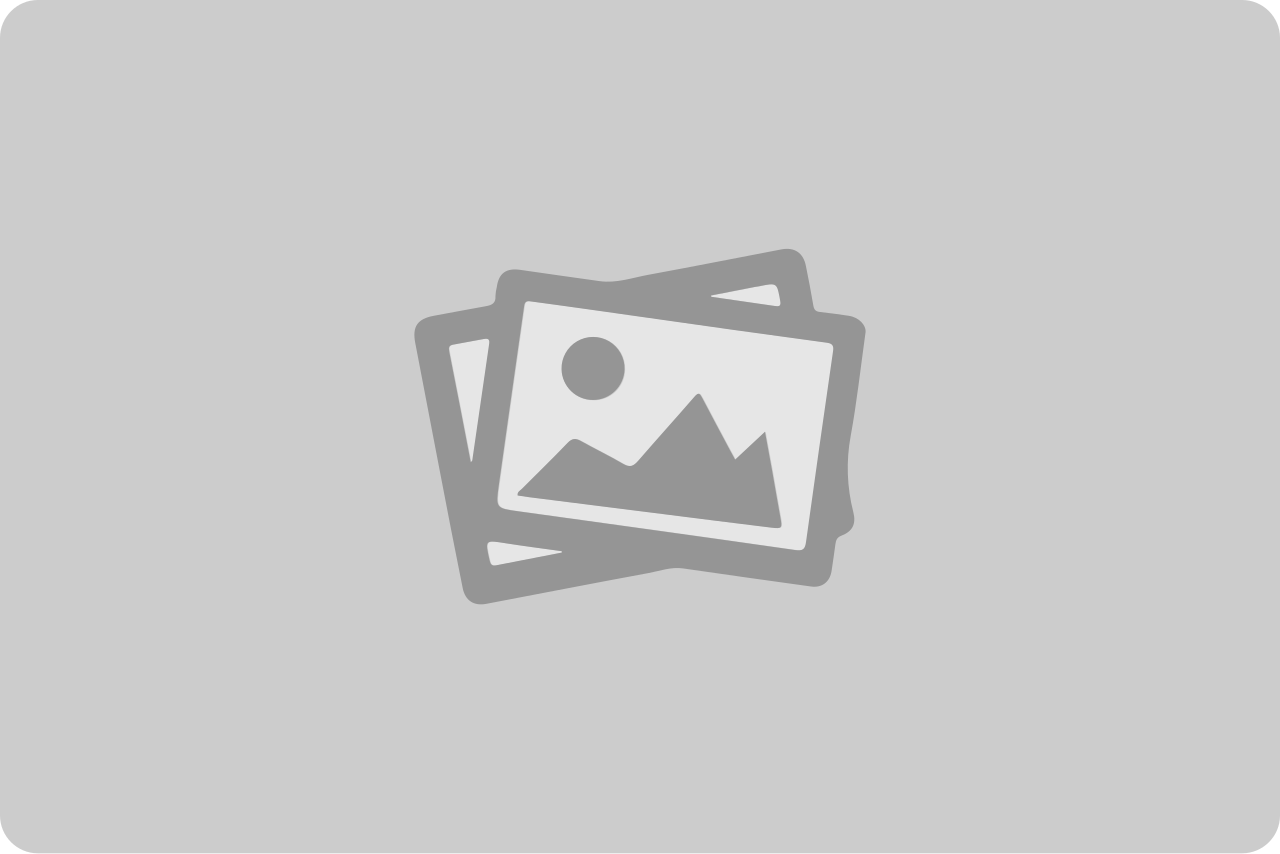 Блок управления Nice TT2Z одним или двумя двигателями по сухому контакту