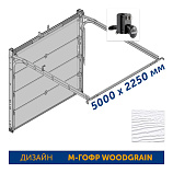 5000x2250 Гаражные секционные ворота Hormann RenoMatic, с торсионным механизмом, с гарнитурой ручек, дизайн M-гофр