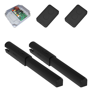 Комплект линейного привода DoorHan SW-3000PRO-BASE + 2 пульта_s_